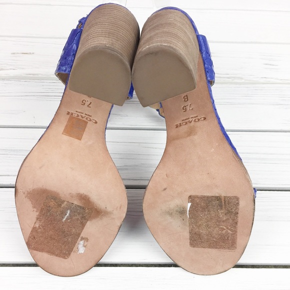 Coach Lexey Ankle Strap Block Heels Sandals - Picture 5 of 8